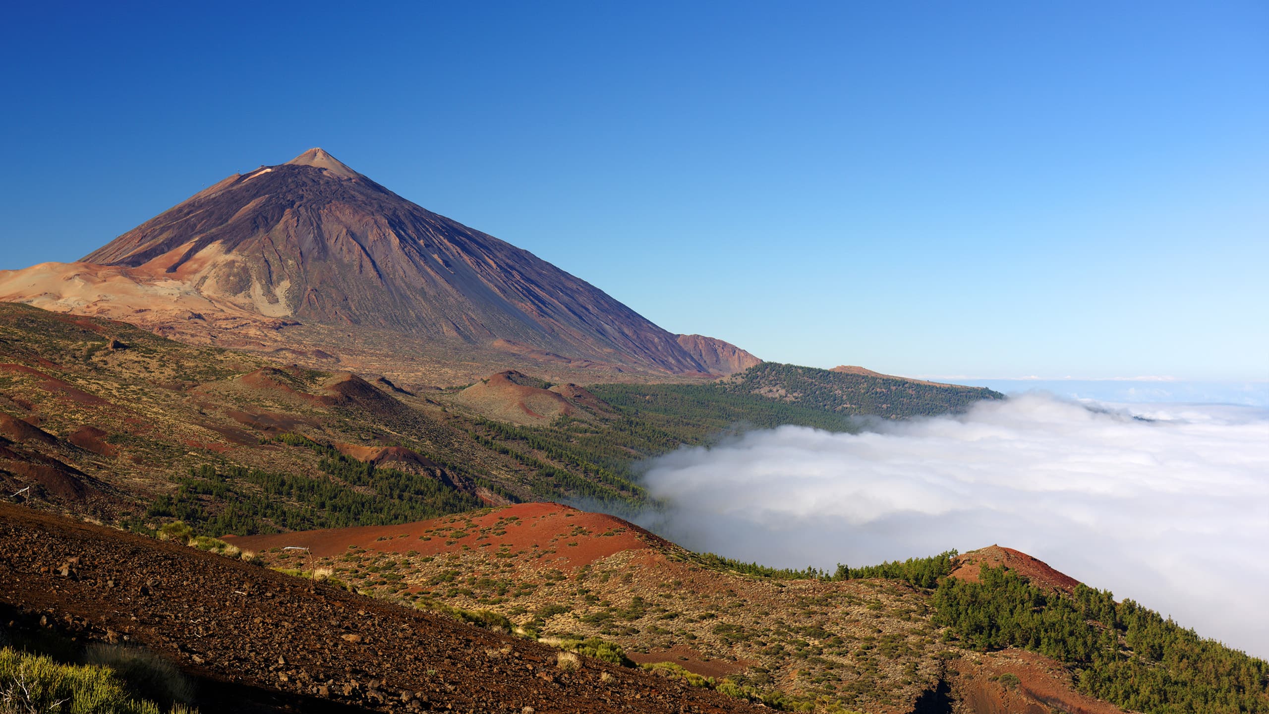 Tenerife